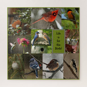 Bird Puzzle Legpuzzel