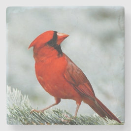 Bird red _coaster stenen onderzetter