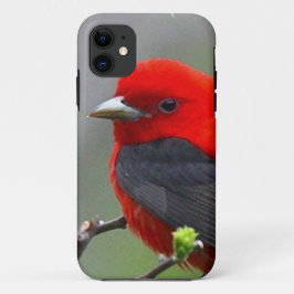 Bird red_iphone iPhone 11 hoesje