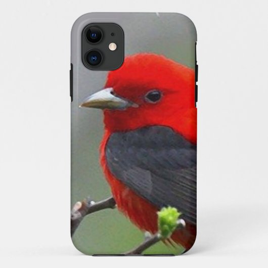 Bird red_iphone Case-Mate iPhone case (Achterkant)