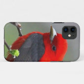 Bird red_iphone Case-Mate iPhone case (Achterkant (horizontaal))