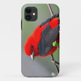 Bird red_iphone iPhone 11 hoesje