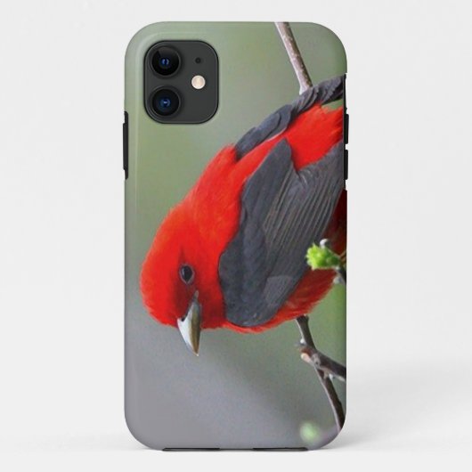 Bird red_iphone Case-Mate iPhone case (Achterkant)