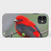 Bird red_iphone Case-Mate iPhone case (Achterkant (horizontaal))