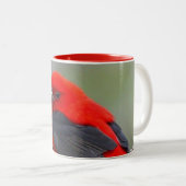 Bird red_iphone tweekleurige koffiemok (Voorkant rechts)