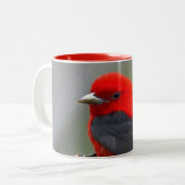 Bird red_iphone tweekleurige koffiemok (Voorkant links)