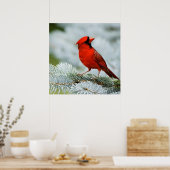 Bird red poster (Keuken)