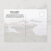 Bird Rock, Point Lobos State Reserve Briefkaart (Achterkant)