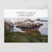 Bird Rock, Point Lobos State Reserve Briefkaart (Voorkant)