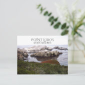 Bird Rock, Point Lobos State Reserve Briefkaart (Staand voorkant)
