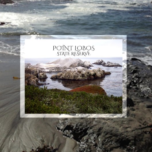 Bird Rock, Point Lobos State Reserve Briefkaart