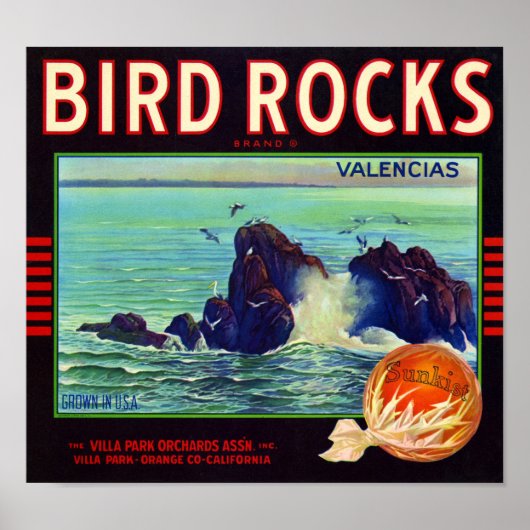 Bird Rocks merk sinaasappel fruit krat label Poster (Voorkant)