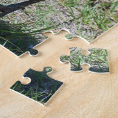 Bird Sandhill Crane Wildlife Fotografie Natuur Legpuzzel (Zijkant)