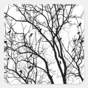 Bird Silhouette by Therese Kramer   Vierkante Sticker