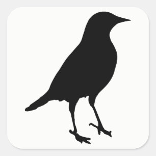 Bird Silhouette Vierkante Sticker
