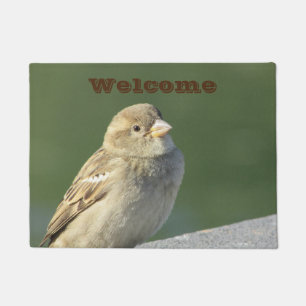Bird Small Brown House Sparrow Photo Welcome Deurmat