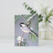 Bird Snow Covered Branch Briefkaart (Staand voorkant)