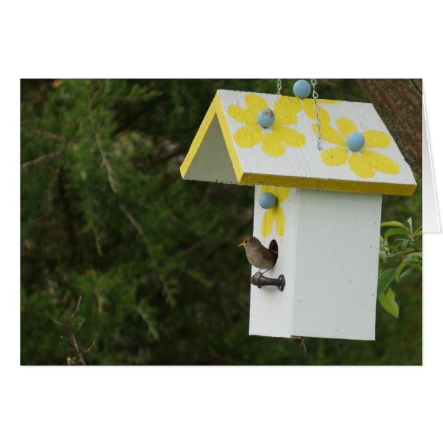 Bird Song (Voorkant Horizontaal)