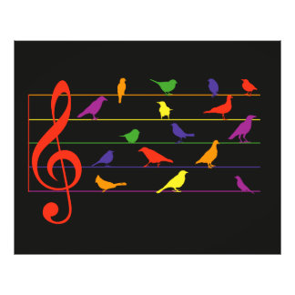Bird Song, colorful design Foto Afdruk