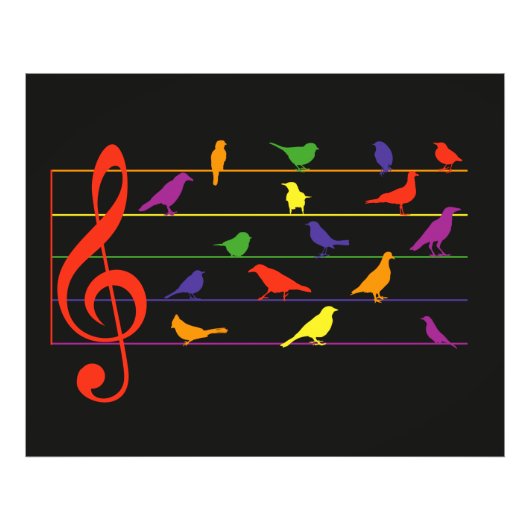 Bird Song, colorful design Foto Afdruk (Voorkant)