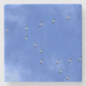 Bird Stenen Onderzetter (Voorkant)