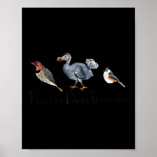Bird Subtle Flicker Dodo Titmouse Poster