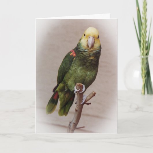 Bird Sympathy Card Kaart (Voorkant)