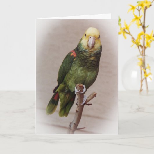 Bird Sympathy Card Kaart (Gele Bloem)