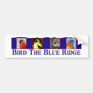 Bird the Blue Ridge Bumpersticker