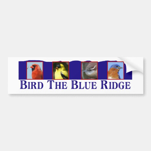 Bird the Blue Ridge Bumpersticker (Voorkant)