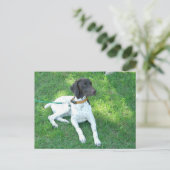 Bird the German Shorthair Pointer Briefkaart (Staand voorkant)