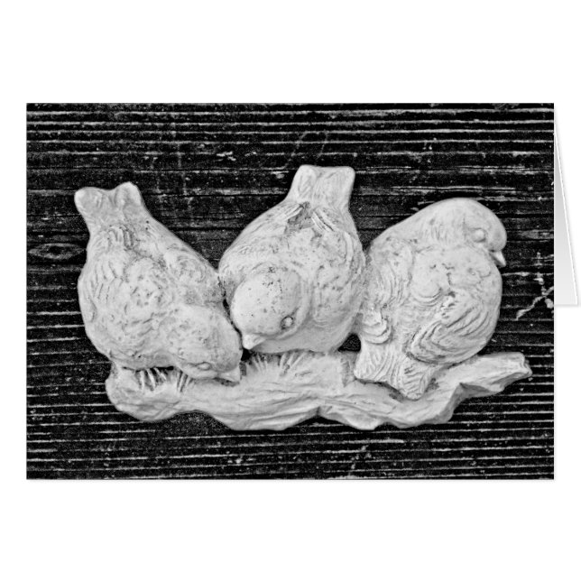 Bird Trio (Voorkant Horizontaal)