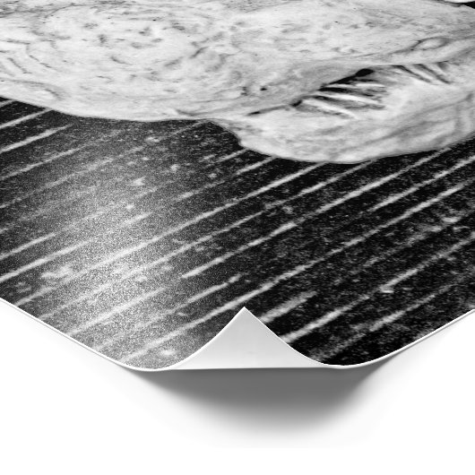 Bird Trio Foto Afdruk (Hoek)