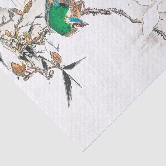 Bird Tropical  Art Tissuepapier (Detail)