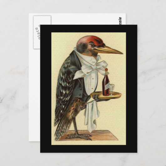 Bird Waiter Briefkaart (Voorkant / Achterkant)