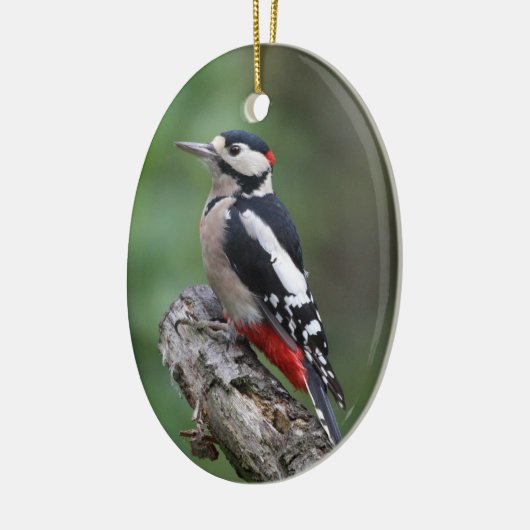 Bird Watcher Keramisch Ornament (Links)