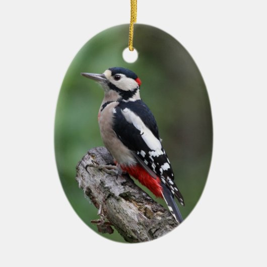 Bird Watcher Keramisch Ornament (Voorkant)