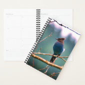 Bird Watchers Planner (Display)