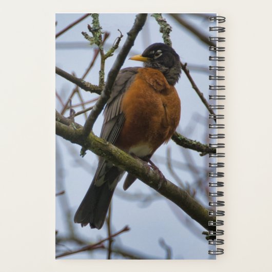 Bird Watchers Planner (Achterkant)