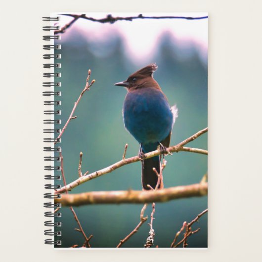 Bird Watchers Planner (Voorkant)