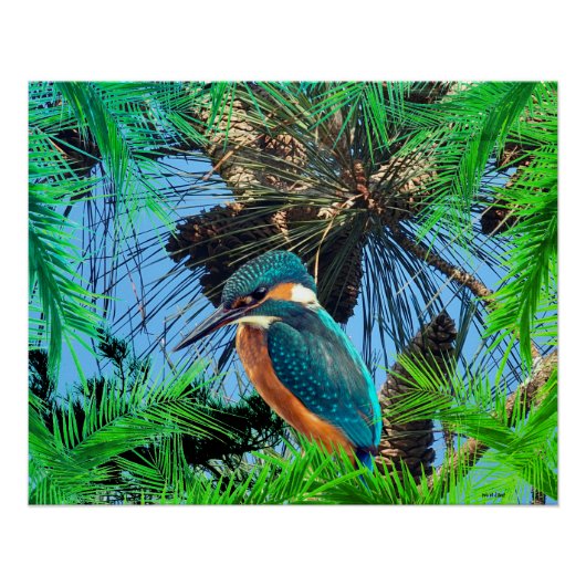 Bird Wildlife Wildreness Animals Poster (Voorkant)