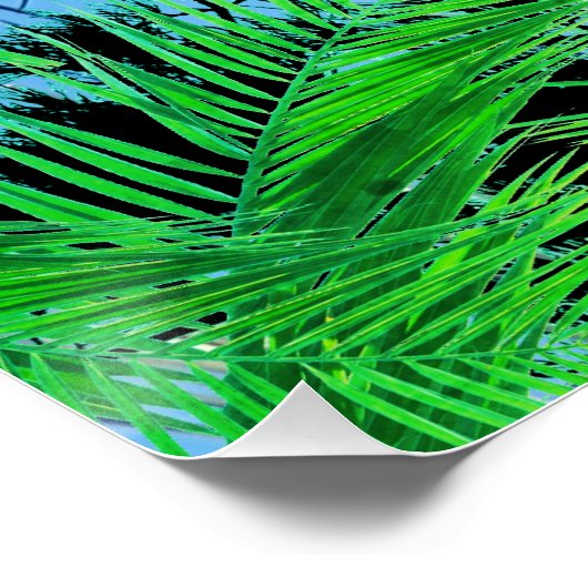 Bird Wildlife Wildreness Animals Poster (Hoek)