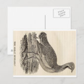 Bird Woodcut Briefkaart (Voorkant / Achterkant)