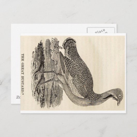 Bird Woodcut Briefkaart (Voorkant / Achterkant)