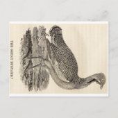 Bird Woodcut Briefkaart (Voorkant)