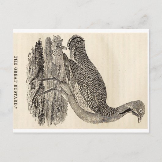 Bird Woodcut Briefkaart (Voorkant)