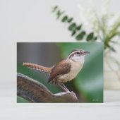 Bird Wren Card Natuur Note card Bedankkaart (Staand voorkant)