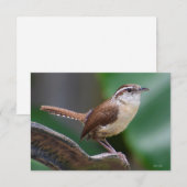 Bird Wren Card Natuur Note card Bedankkaart (Voorkant / Achterkant)