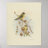  Bird Yellow Brown Print (Voorkant)