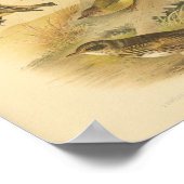 Bird Yellow Brown Print (Hoek)